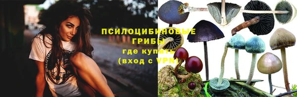 спайс Кодинск