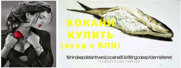 молекула духа Козельск