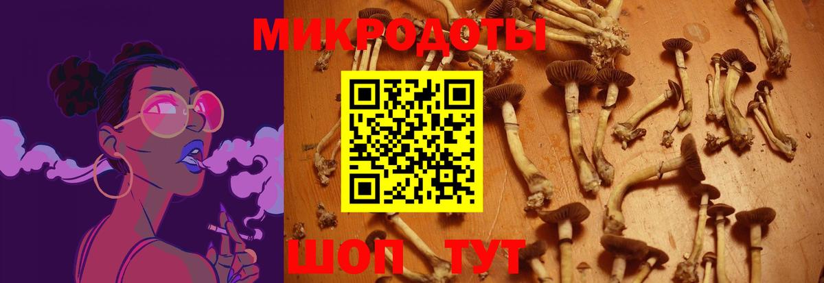 Псилоцибиновые грибы Magic Shrooms  Вход с VPN  Красноармейск 